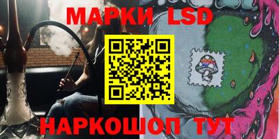гашик Гатчина