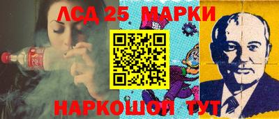 гашик Гатчина