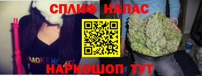 гашик Гатчина