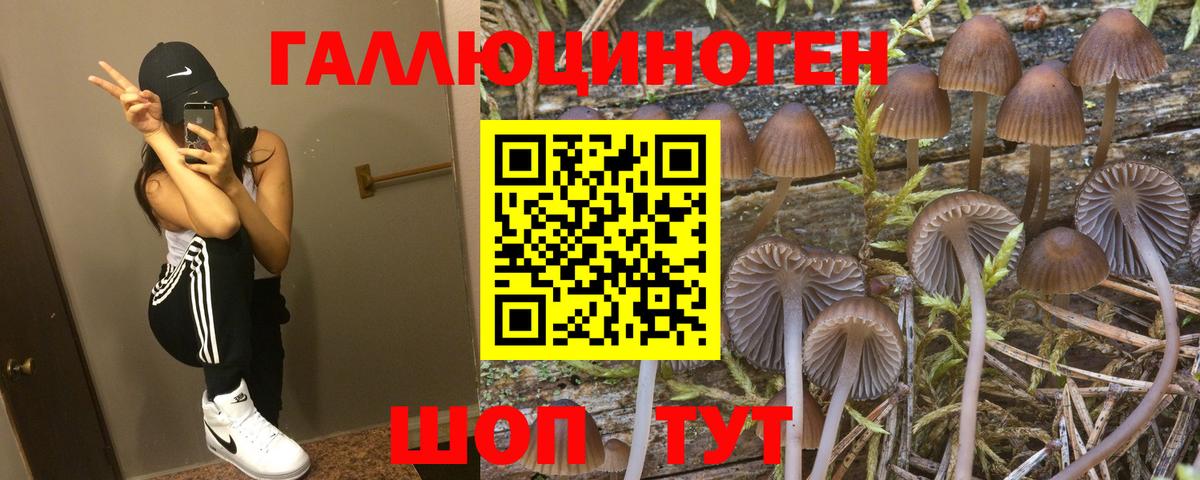 Галлюциногенные грибы ЛСД  Вход с VPN  Малоярославец 